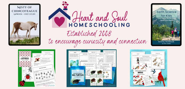 Heart and Soul Homeschooling banner