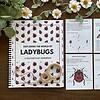 Ladybugs A Creature Study by Wisdom from Heaven_The Art Kit 10 Ladybugs educational workbook with printable activity sheets on ladybug anatomy, life cycle, and interesting facts, perfect for homeschooling science lessons and nature exploration.