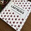 Ladybugs A Creature Study by Wisdom from Heaven_The Art Kit 2 Brightly colored ladybug-themed homeschool activity workbook with playful ladybug illustrations and nature-inspired decor for engaging learning about ladybugs and insects.