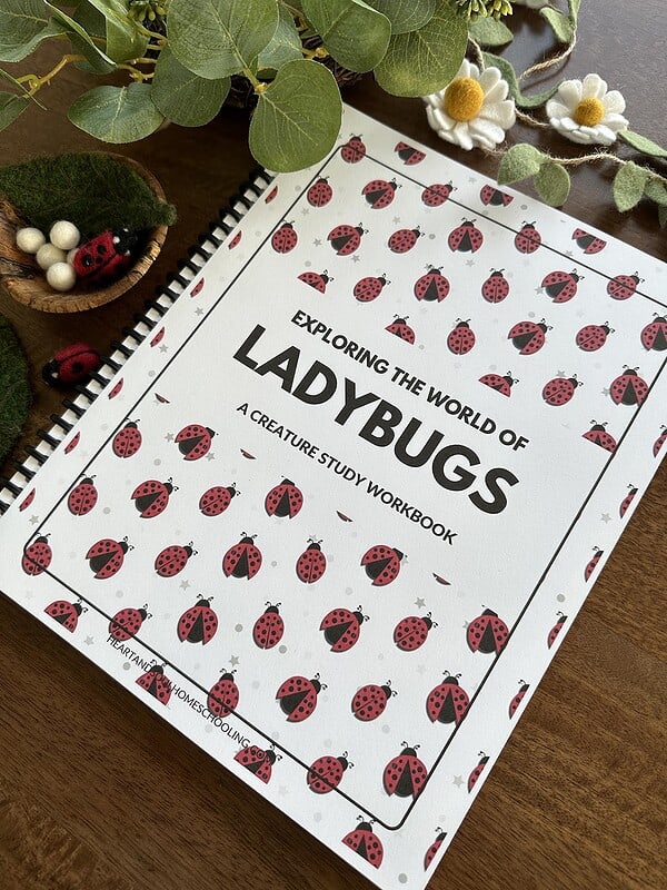 Ladybugs A Creature Study by Wisdom from Heaven_The Art Kit 2 Brightly colored ladybug-themed homeschool activity workbook with playful ladybug illustrations and nature-inspired decor for engaging learning about ladybugs and insects.