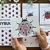 Ladybugs A Creature Study by Wisdom from Heaven_The Art Kit 8 Colorful ladybug-themed educational worksheets and coloring pages for homeschooling, promoting interactive learning about ladybug anatomy, life cycle, and fun activities for children.