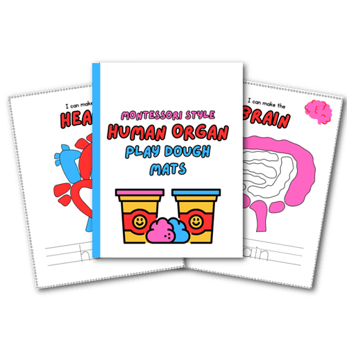 Colorful Montessori-style human organ play dough mats for homeschooling, anatomy learning, and educational activities in early childhood education.