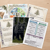 A collection of homeschool resources including themed worksheets and lore-based decoding cards for an engaging education experience.
