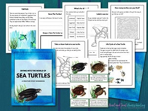 Diving into the World of Sea Turtles (Mini Unit Study)