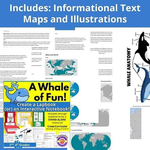 Whale-lapbook-notebook-primary-Includes-Instructions-Supply-List-and-Grading-Rubric-1.jpg Whale educational resources, maps, and illustrated diagrams for homeschool science and learning about marine life, perfect for elementary science curriculum.
