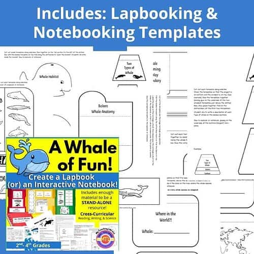 Whale-lapbook-notebook-primary-Includes-Instructions-Supply-List-and-Grading-Rubric-2.jpg Whale lapbook and notebooking templates for homeschool, including anatomy, habitat, and fun facts, perfect for elementary science and literacy crafts.