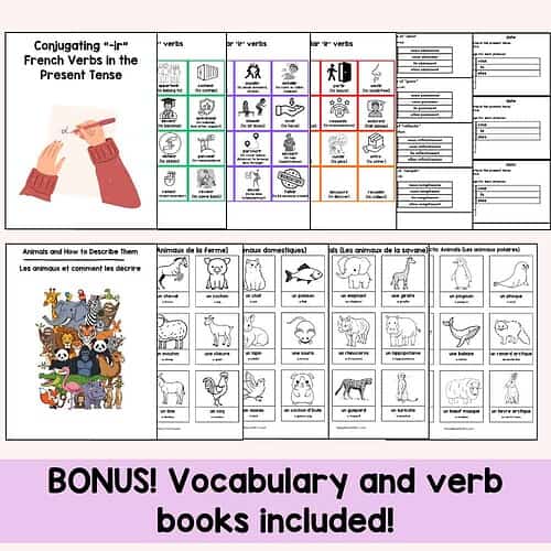Read Write and Spell in French! Unit 10: ir verbs and describing animals in French A Complete French Writing Program