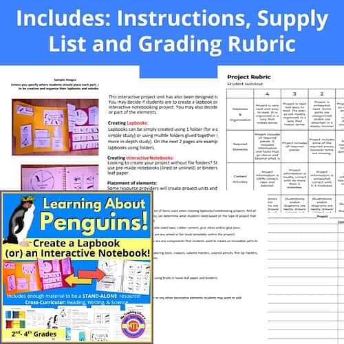 Z 29 Penguin Lapbook 2 Penguin Unit Study | Lapbook or Interactive Notebook