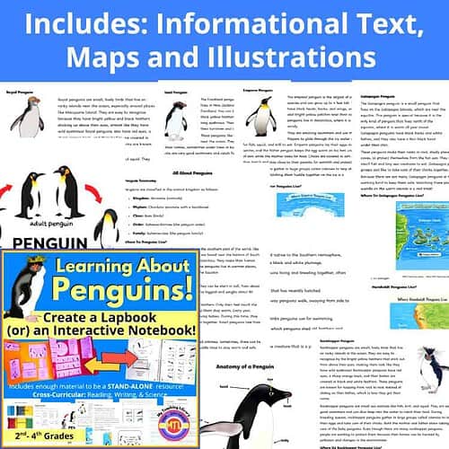 Z 29 Penguin Lapbook 3 Penguin Unit Study | Lapbook or Interactive Notebook