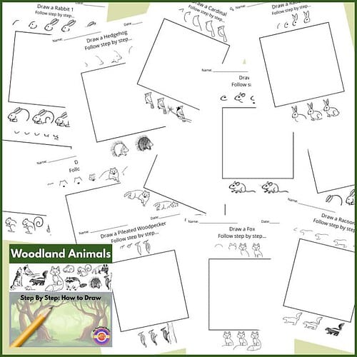Z 30 Draw woodland animals 2 How to Draw: Woodland Animals