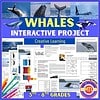 Z-31-Whales-Interactive.jpg Whale fins leaping from ocean water, whale tail, orca jumping, close-up whale tail splash, deep blue sea with whale, marine life, whale species for homeschool science projects.