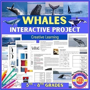 Whale Unit Study | Life Science Lapbook and Interactive Notebook