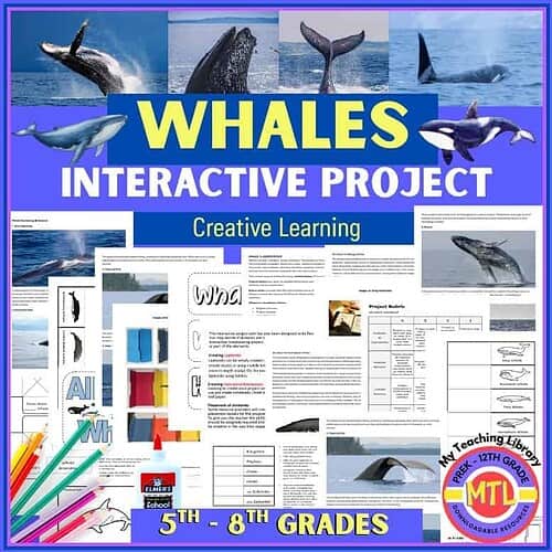 Whale fins leaping from ocean water, whale tail, orca jumping, close-up whale tail splash, deep blue sea with whale, marine life, whale species for homeschool science projects.