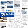 Z-31-Whales-Interactive-a.jpg Whale anatomy illustration and educational resources displayed on homeschool science curriculum pages, highlighting whale biology, classification, and fun facts for homeschool science lessons.