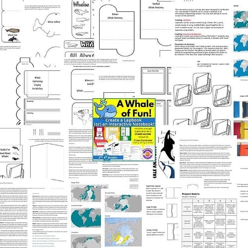 a-whale-of-fun-lapbooking-notebooking.jpg 1. Interactive homeschool resource for creating lapbooks and notebooks about whales, whale anatomy, habitats, and science projects for elementary to middle school students.