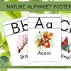 cropped-1.jpg Colorful nature-themed alphabet poster set featuring illustrations of acorns, branches, and red birds for early childhood homeschool learning and nature education.