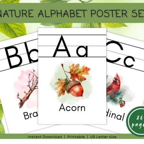 cropped-1.jpg Colorful nature-themed alphabet poster set featuring illustrations of acorns, branches, and red birds for early childhood homeschool learning and nature education.