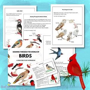 Soaring through the World of Birds (Mini Unit Study)