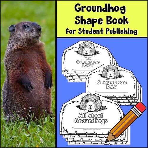 Groundhog educational workbook for homeschooling, teaching about groundhog shapes, groundhog day, and creative writing activities for kids. Perfect for preschool and elementary science lessons.