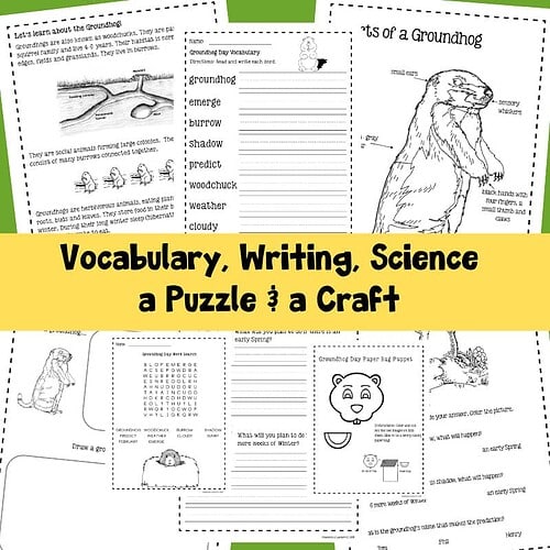 wy-134-c.jpg Groundhog educational worksheet for homeschooling, science vocabulary, writing prompts, and craft activities for learning about groundhogs and seasons.