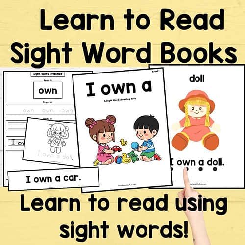 Sight Word Stories Books and Worksheets for Early Reading