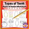 Types of Teeth Educational Posters and Worksheets for Homeschooling Engaging homeschool resource on types of teeth, featuring posters and worksheets for students to learn about dental anatomy and oral health.