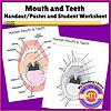 Mouth and Teeth Educational Worksheet for Homeschooling Educational worksheet featuring diagrams of human mouth and teeth for homeschooling, ideal for preschool to 12th grade students learning about oral health and anatomy.