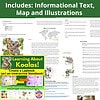 Koala Unit Study | Lapbook or Interactive Notebook