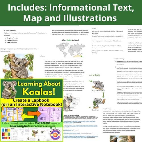 Koala Unit Study | Lapbook or Interactive Notebook