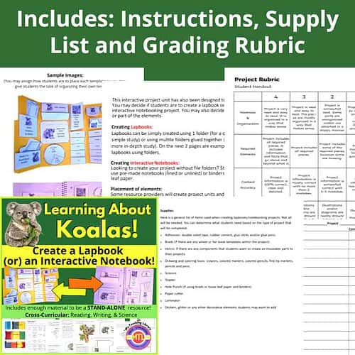 Koala Unit Study | Lapbook or Interactive Notebook