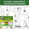 Koala Unit Study | Lapbook or Interactive Notebook