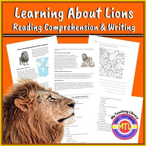 Lions reading comprehension and writing activities for homeschool or classroom use, featuring lion illustrations and educational worksheets for 12th grade.