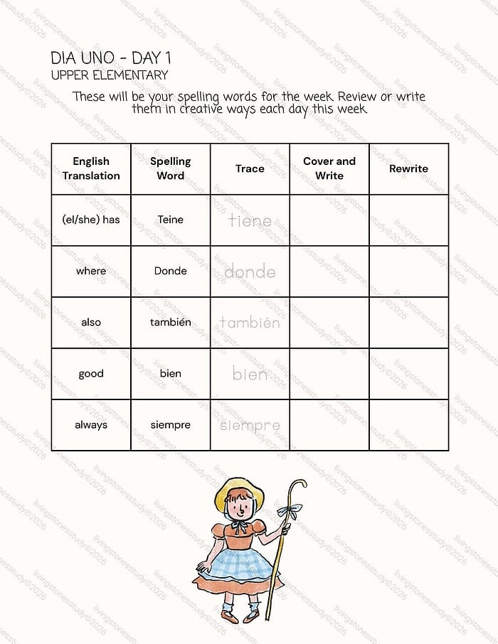 Homeschool Resource Co. - Spelling Practice Worksheet Elementary spelling practice worksheet for homeschool, featuring daily vocabulary review with translation, tracing, and writing activities for young learners.