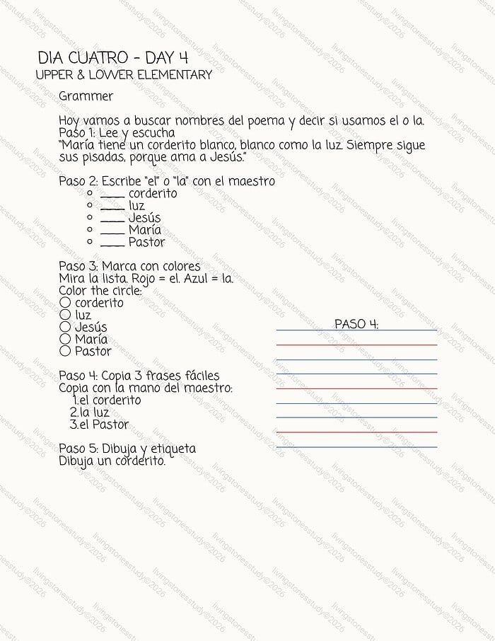Homeschool Resource Co. - Day 4 Lesson Plan Homeschool resource for Day 4 lesson plan focusing on grammar, colors, and family phrases in Spanish for upper and elementary students.
