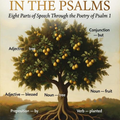 Educational image illustrating parts of speech in Psalm 1, including nouns, adjectives, verbs, prepositions, and conjunctions, with a tree diagram highlighting grammatical elements.