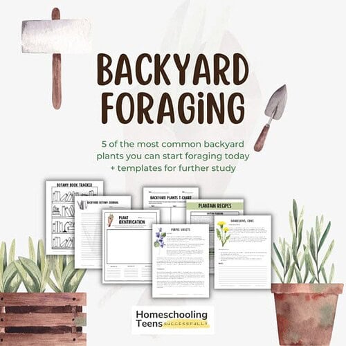 Backyard Foraging Guide Backyard foraging guide featuring common backyard plants, foraging templates, and plant identification sheets for homeschooling families interested in outdoor education.