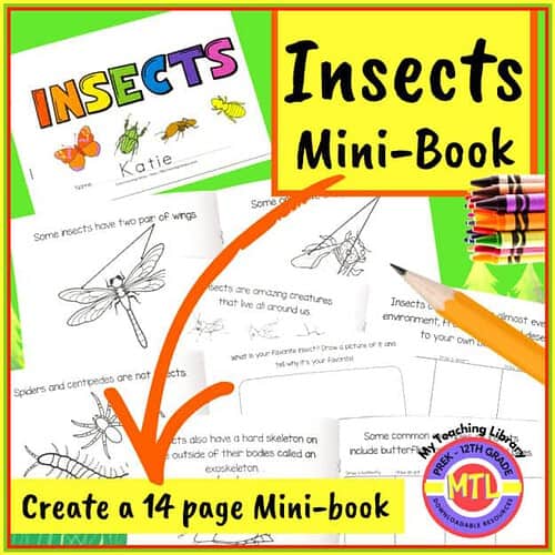 Insects mini-book for homeschooling, featuring engaging activities and illustrations to teach children about insects, their characteristics, and habitats. Perfect for preschool and elementary science.