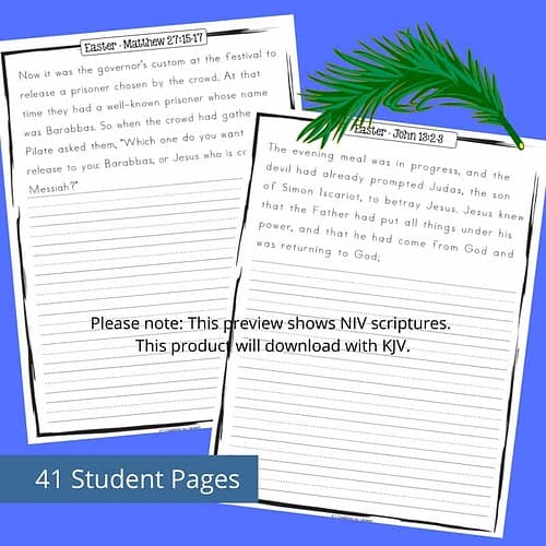 Homeschool Resource Co. Bible Study Pages Printable Bible study pages for homeschool, featuring NIV scriptures and notes on Easter stories, with 41 student pages for engaging religious education.