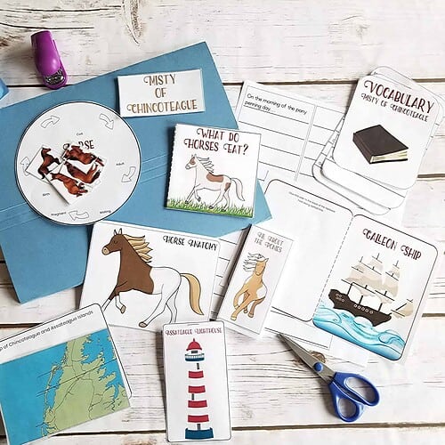 Engaging homeschool resources including flashcards, puzzles, and activity sheets for teaching vocabulary, geography, and science to children. Perfect for homeschooling parents and educators.