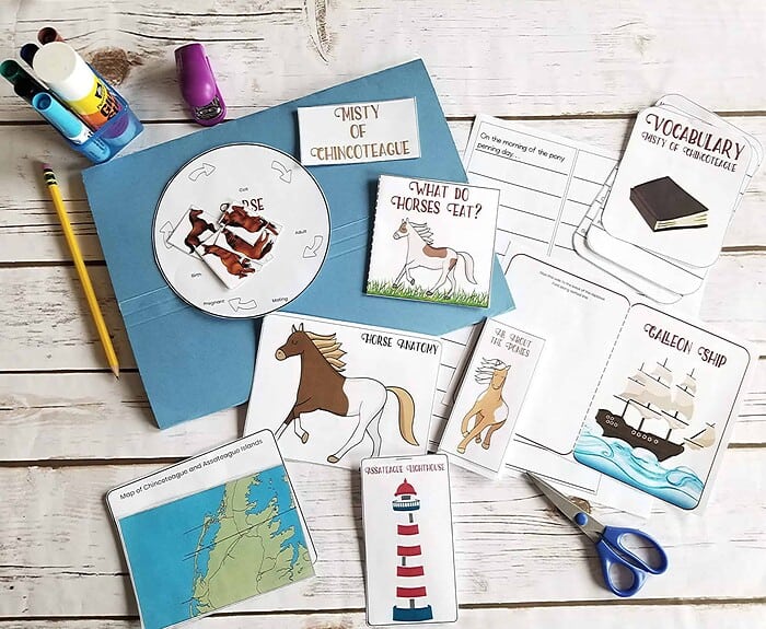 Engaging homeschool resources including flashcards, puzzles, and activity sheets for teaching vocabulary, geography, and science to children. Perfect for homeschooling parents and educators.