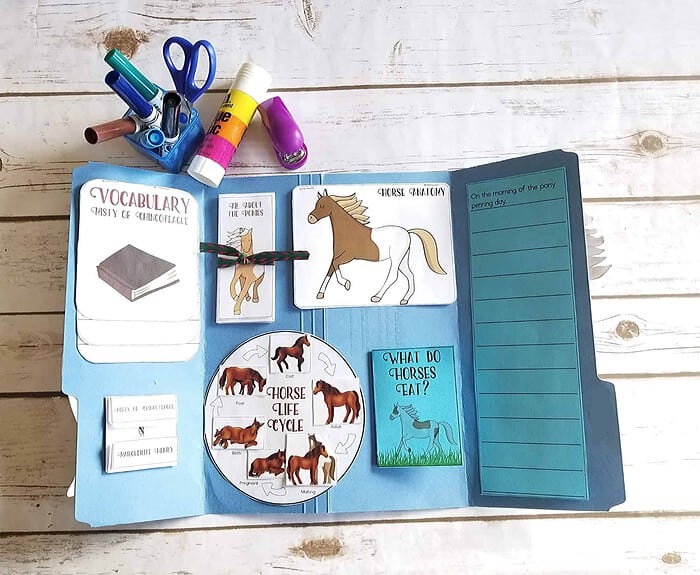 Homeschool Educational Craft Kit Interactive homeschool craft kit with horse-themed learning materials, including vocabulary cards, cycle diagram, and writing activities for engaging homeschooling lessons.