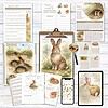 Rabbit Anatomy and Lifecycle Educational Resources | Homeschool Resource Co. Detailed rabbit anatomy chart with lifecycle information for homeschooling and educational use.