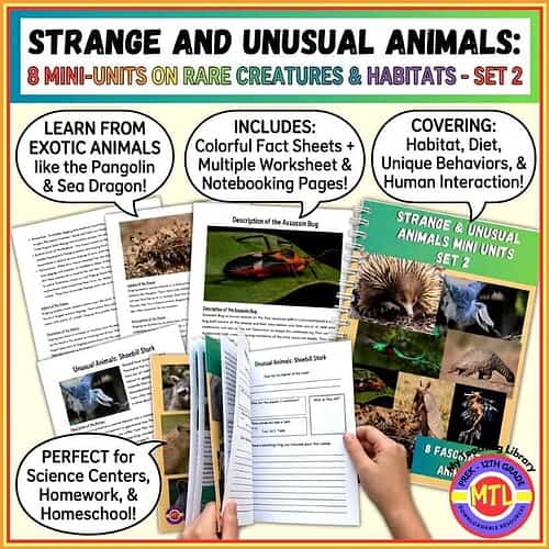 Educational mini units on rare and unusual animals, including habitat, diet, behaviors, and human interaction, ideal for homeschool science and learning activities.
