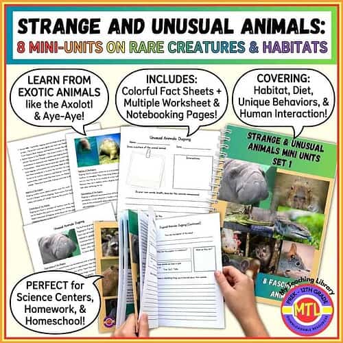 Educational kit featuring strange and unusual animals with mini units on rare creatures, habitats, diets, and behaviors for science learning.