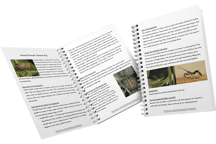 Strange and Unusual Animals: 8 Mini-Units on Rare Creatures & Habitats Unique and rare animals featured in educational mini-units for homeschooling. Explore unusual creatures and their habitats to enhance your science and biology lessons.