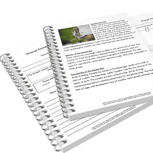 Educational mini-unit on rare and unusual animals, exploring their habitats and unique traits for homeschool science lessons.