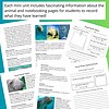 Educational mini-unit on rare and unusual animals, featuring images and facts about unique creatures and their habitats for homeschool learning.