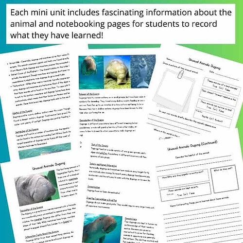 Educational mini-unit on rare and unusual animals, featuring images and facts about unique creatures and their habitats for homeschool learning.