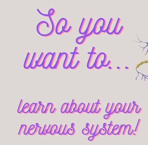 Homeschool Resource Co. - Nervous System Learning Educational graphic about the nervous system with colorful text and neuron illustration, perfect for homeschooling science resources.