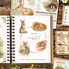 Homeschool Rabbit Learning Resources Educational homeschool resource featuring rabbit illustrations for kids' learning activities and science projects. Perfect for homeschooling curriculum and early childhood education.